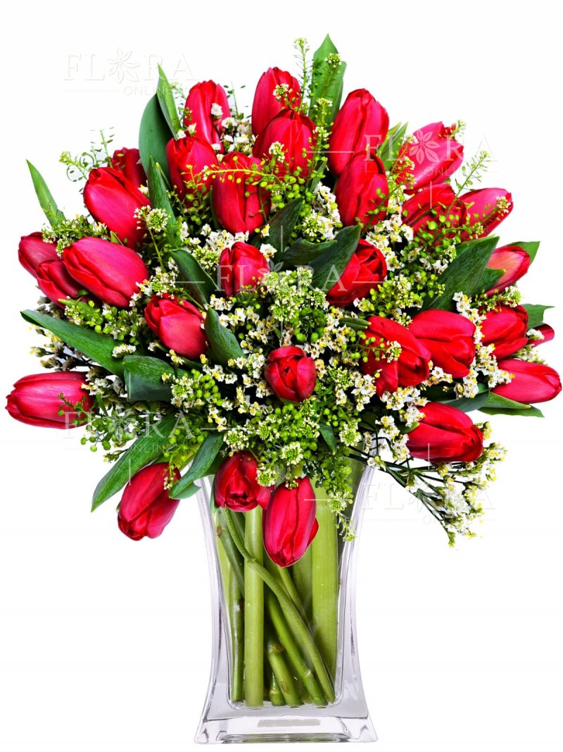 Kytice červených tulipánů Caroline