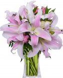Royal Lilies: Flowers Online